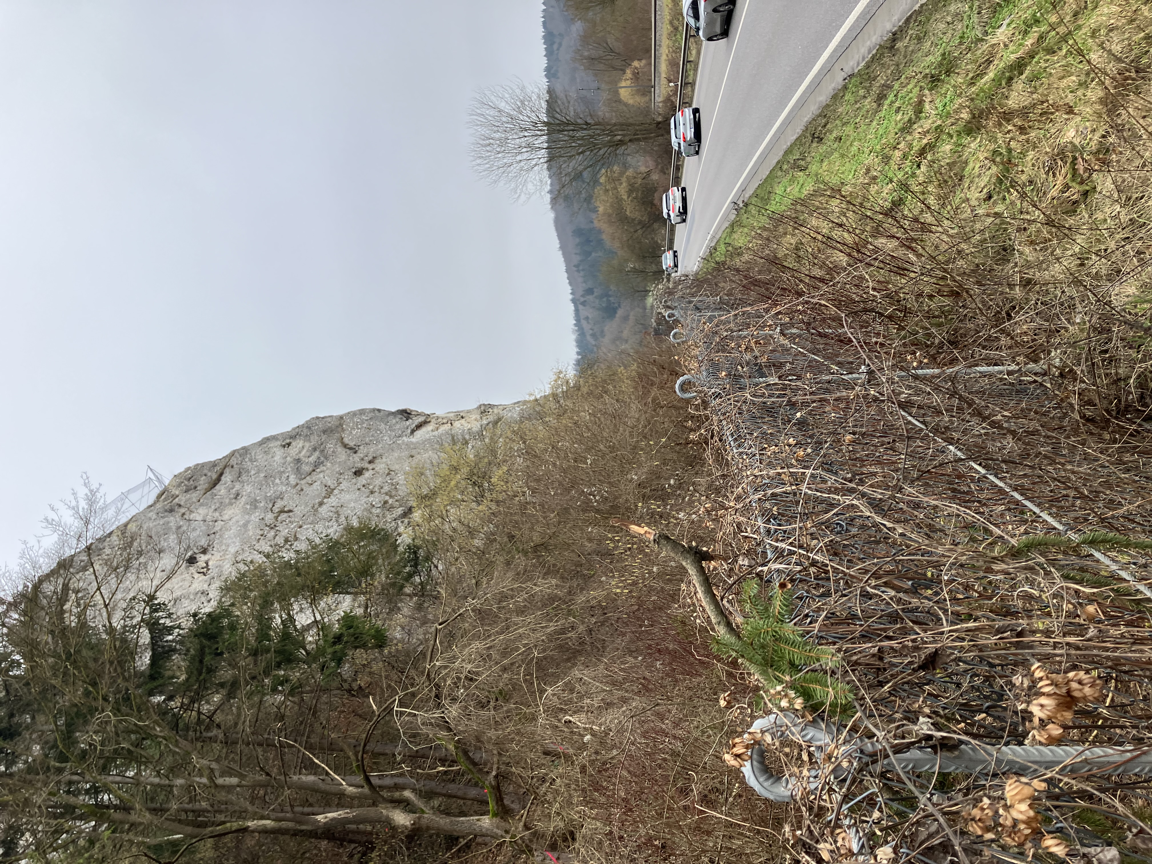 eingewachsener Steinschlagschutzzaun an der B 16 Höhe Teufelsfelsen eingewachsener Steinschlagschutzzaun an der B 16 Höhe Teufelsfelsen
